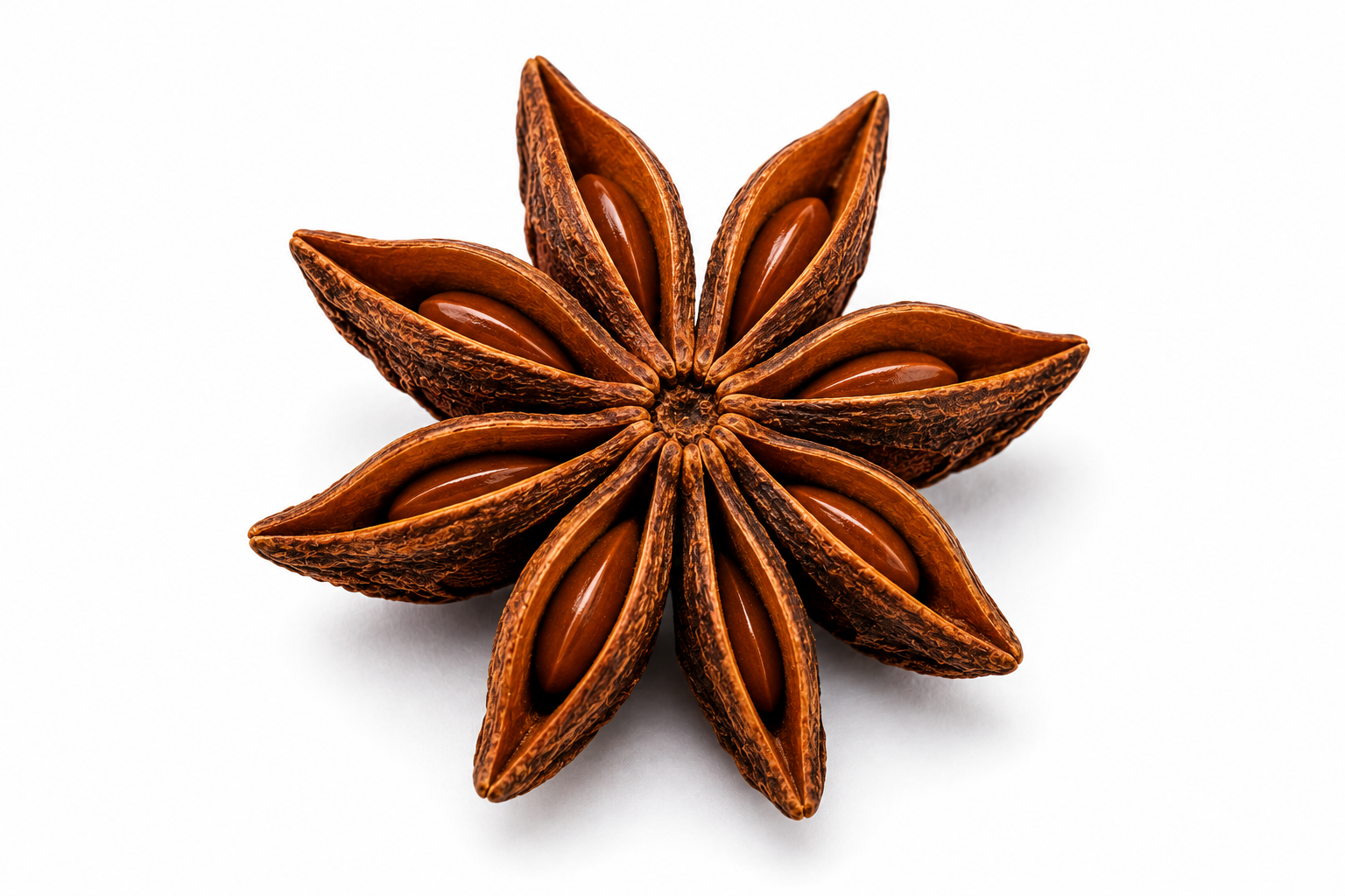 Star Anise